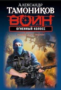 Александр Тамоников - Мститель