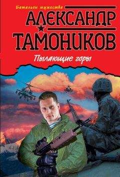 Александр Тамоников - Люди в черном