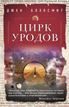 Нина Воронель - Готический роман. Том 2