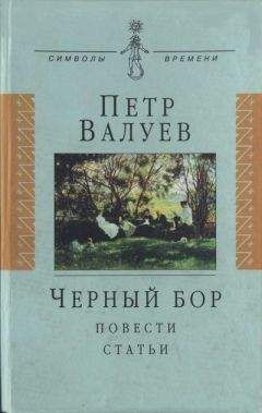 Эллис Поттер - Три мировоззрения: монизм, дуализм, тринитаризм. Взгляд на историю реальности