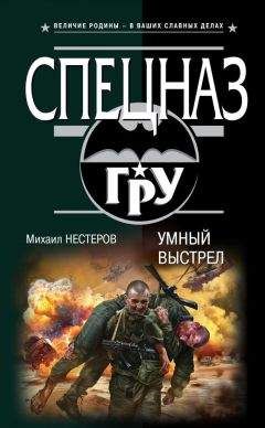 Михаил Нестеров - Месть и закон