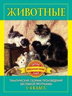 Юрий Дмитриев - Соседи по планете: Домашние животные