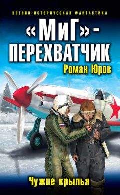 Дмитрий Политов - Небо в огне. Штурмовик из будущего