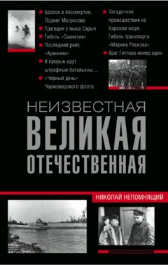 В. Сиповский - Родная старина Книга 3 Отечественная история с конца XVI по начало XVII
