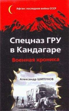 Александр Уразов - Судьба штрафника. «Война всё спишет»?