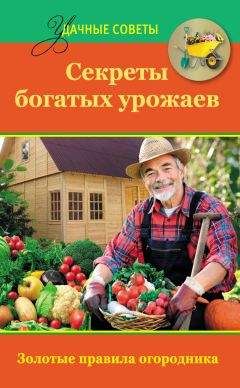 Татьяна Ситникова - Огород без ошибок. Золотые секреты богатых урожаев