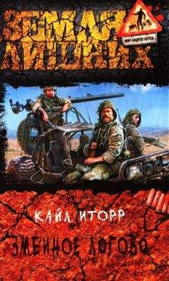 Константин Федоров - Хроники Гирида. Странник (СИ)