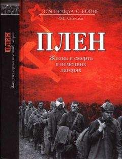 Райнхольд Браун - Шрамы войны. Одиссея пленного солдата вермахта. 1945