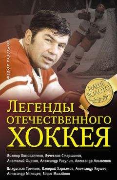 Кен Драйден - Хоккей на высшем уровне