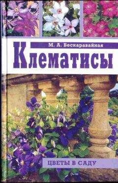 Иван Ефремов - Динозавровый горизонт Средней Азии и некоторые вопросы стратиграфии