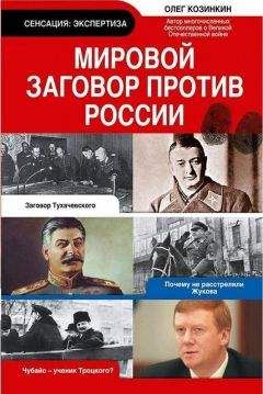 Сергей Ткаченко - Информационная война против России