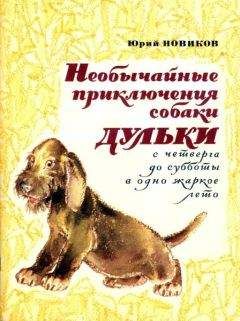 Юрий Новиков - Как Митя читать учился