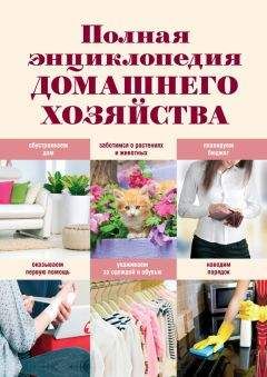 Георгий Багдыков - Энциклопедия резервных возможностей человека