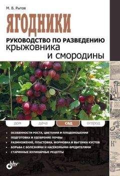 Михаил Рытов - Ягодники. Руководство по разведению крыжовника и смородины