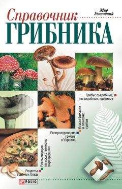 Владимир Фетисов - Беспилотная авиация: терминология, классификация, современное состояние