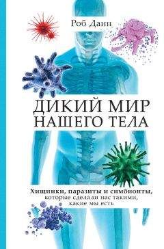 Юлия Попова - Гепатит. Самые эффективные методы лечения