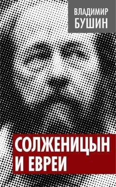 Владимир Бушин - Сбрендили! Пляски в Кремле продолжаются