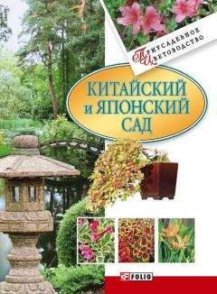 Мария Згурская - Древесные растения