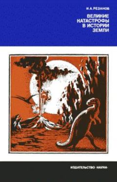 Киви Берд - Книга о странном (с иллюстрациями)