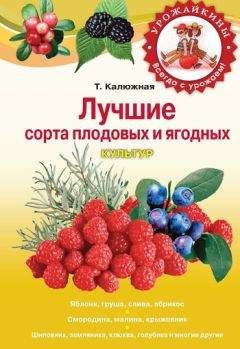 Максим Жмакин - Выращивание основных видов плодовых и ягодных культур. Технология богатых урожаев