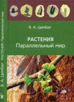 Слава Кан - Океан и атмосфера