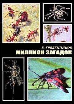 Юрий Вяземский - От фараона Хеопса до императора Нерона. Древний мир в вопросах и ответах