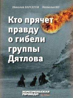 Сьюлетт Дрейфус - Компьютерное подполье. Истории о хакинге, безумии и одержимости