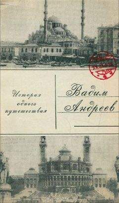 Антанас Венцлова - В поисках молодости