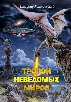 Тэд Уильямс - Река голубого пламени