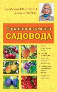 Елена Березовская - 1000 вопросов и ответов по гинекологии