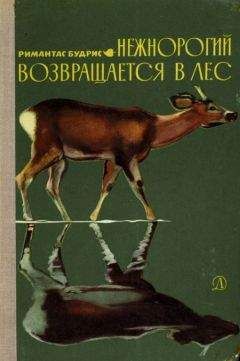 Сергей Кучеренко - Встречи с амурским тигром