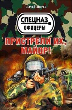 Сергей Зверев - Должник