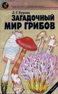 Роман Ласуков - Обитатели водоемов