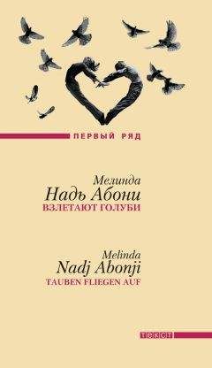 Сьюзен Зонтаг - Поклонник Везувия