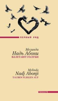 Роберто Боланьо - Набросок к портрету Лало Куры