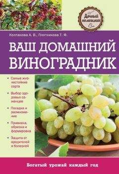 Неизвестен Автор - Домашний зооуголок