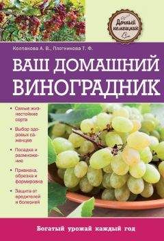 Виктор Жвакин - Обрезка винограда. Проверенные способы формировки укрывного винограда в средней полосе России