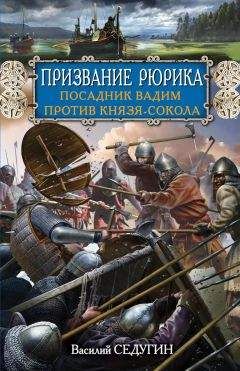 Николай Бахрошин - Черный огонь. Славяне против варягов и черных волхвов