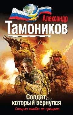 Александр Тамоников - Норвежский инцидент