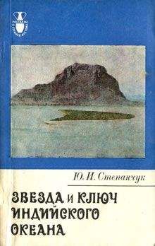 Василий Пасецкий - В погоне за тайной века