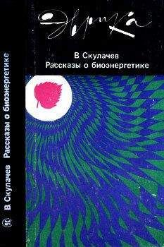 Вилейанур Рамачандран - Мозг рассказывает. Что делает нас людьми