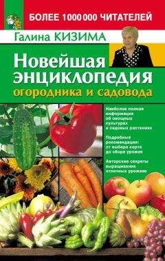 Галина Кизима - Большая книга умного дачника