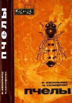 Айзек Азимов - Краткая история биологии. От алхимии до генетики