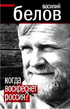 Василий Розанов - Ответ г. Владимиру Соловьеву