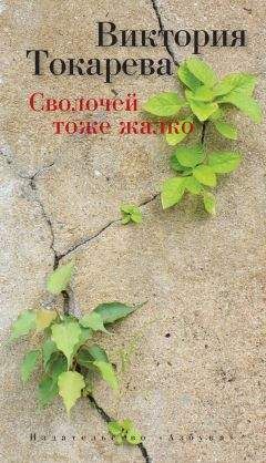 Эльмира Битаева - Шанс (сборник)
