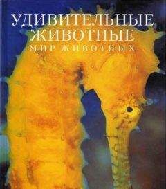 Роман Ласуков - Обитатели водоемов