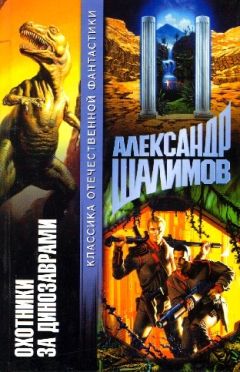 Александр Шалимов - Когда молчат экраны. Научно-фантастические повести и рассказы