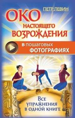 Макс Гендель - КОСМОКОНЦЕПЦИЯ РОЗЕНКРЕЙЦЕРОВ или МИСТИЧЕСКОЕ ХРИСТИАНСТВО