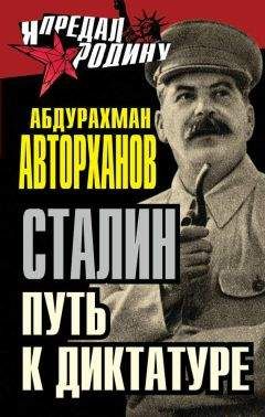 Франсуа Керсоди - Уинстон Черчилль: Власть воображения