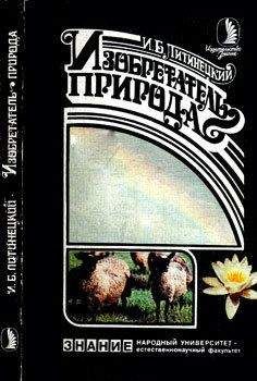 Анатолий Бич - Природа времени: Гипотеза о происхождении и физической сущности времени